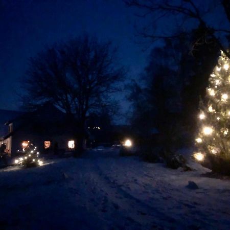 Pfaffensteghof Apartment Rickenbach  Luaran gambar