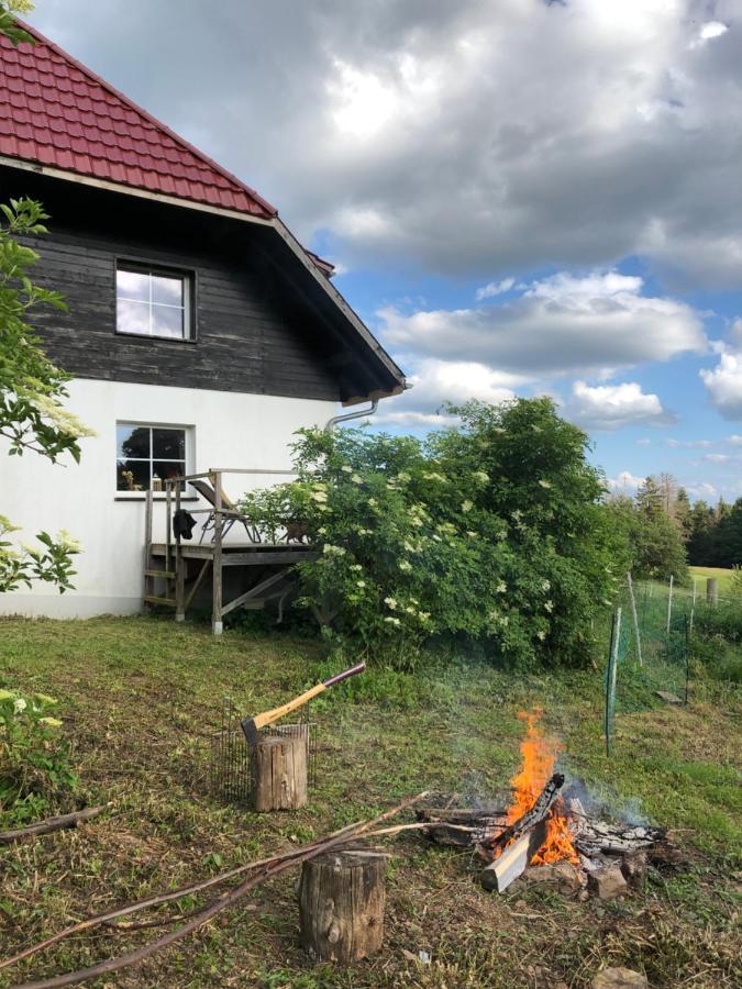 Pfaffensteghof Apartment Rickenbach  Luaran gambar